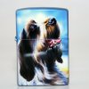 spinone_9