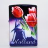 zci_in_holland_tulpen_09-22