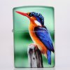 kingfisher_8-10