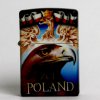 2013/zci_in_poland_22-35-cp9