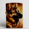 2014/german_shephard_22-40_cp15