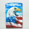 eagle_usa
